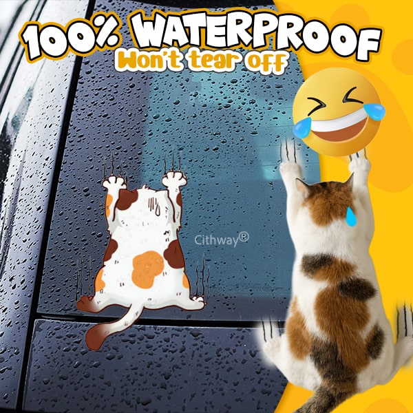 Cithway® Funny Cat Climbing Car Sticker Set (3PCS)